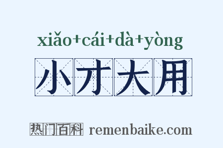 小才大用是什么意思的图片